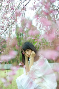 辛巴狮子王2